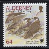 [Birds - The Peregrine Falcon, type ET]