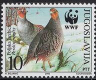 [Birds - World Wildlife Fund, type DJO]