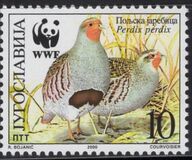 [Birds - World Wildlife Fund, type DJP]