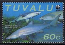 [Endangered Species - Sand Tiger Shark, प्रकार AGG]