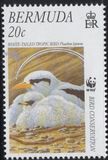 [Endangered Species - Bird Conservation, Tipe YS]