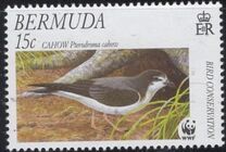 [Endangered Species - Bird Conservation, Tipe YR]