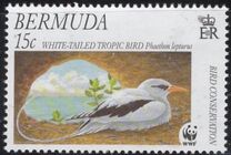 [Endangered Species - Bird Conservation, Tipe YQ]