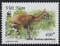 [Fondo mundial para la protección de la naturaleza. WWF. El saola. Pseudoryx nghetinhensis., tipo CCB]