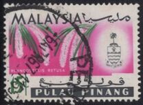 [Orchids, type AK]
