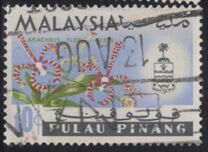 [Orchids, type AJ]