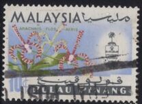 [Orchids, type AJ]
