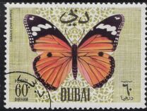 [Butteflies, Tip GM]