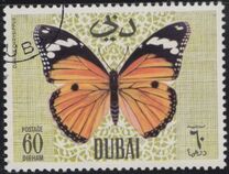 [Butteflies, Tip GM]