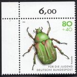 [Youth Hostel - Insects, tip BCJ]