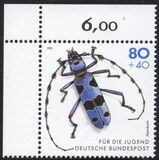 [Youth Hostel - Insects, tip BCI]