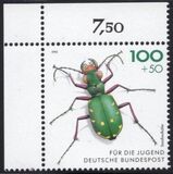 [Youth Hostel - Insects, tip BCK]