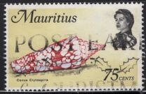 [Marine Life, タイプ FK]