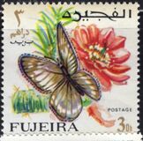 [Butterflies, тып FE]