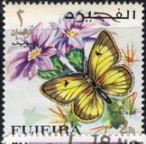 [Butterflies, тып FD]