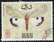 [Butteflies, Tip GJ]