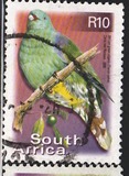 [Fauna and Flora - Birds, Tipe ATG]