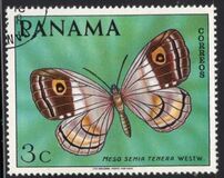 [Butterflies, type WV]
