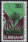 [The 25th Anniversary of Surinam Forestry Commission, тып ADV]
