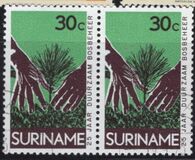 [The 25th Anniversary of Surinam Forestry Commission, тып ADV]