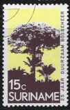 [The 25th Anniversary of Surinam Forestry Commission, тып ADT]