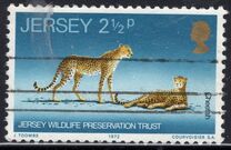 [Jersey Wildlife Preservation Trust, type AO]