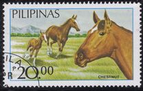 [Horses, タイプ EIY]