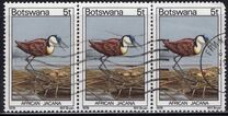 [Birds, type GT]