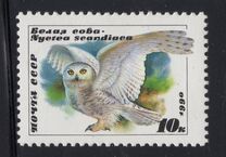 [Owls, type HKA]