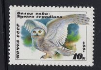 [Owls, type HKA]
