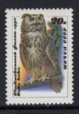 [Owls, type HKB]