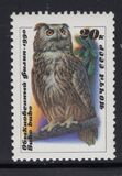 [Owls, type HKB]
