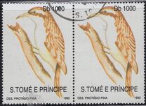 [Fauna and Flora, тып AGP]