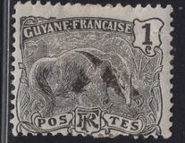 [Ant-Eater - Myrmecophage tridactyla, type H]