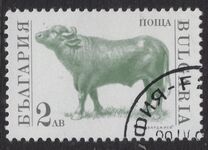 [Domestic Animals, type EKJ]
