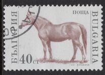 [Domestic Animals, type ELZ]