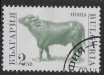 [Domestic Animals, type EKJ]