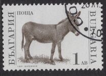 [Domestic Animals, type EMB]
