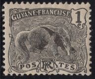 [Ant-Eater - Myrmecophage tridactyla, type H]