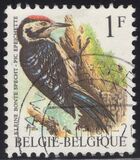 [Birds, Вид BNH]