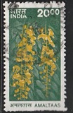 [Fauna y flora., tipo BJH]