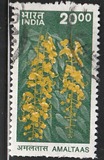 [Fauna y flora., tipo BJH]