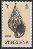 [Clams and Snails, type IO]