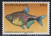 [Tropical Fish, type ANP]