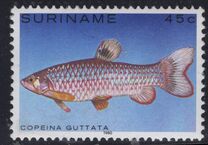 [Tropical Fish, type ANR]