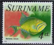 [Fish, Tipo AGR]