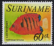 [Fish, Tipo AGU]