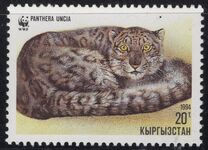 [The Snow Leopard, type Y]