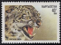 [The Snow Leopard, type AA]
