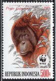 [Endangered Animals - The Orangutan, type AXE]